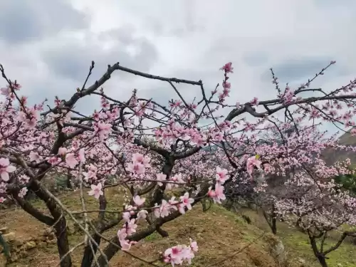 贵阳桃花岛风景区好玩吗　贵阳欢乐世界在哪里-第2张