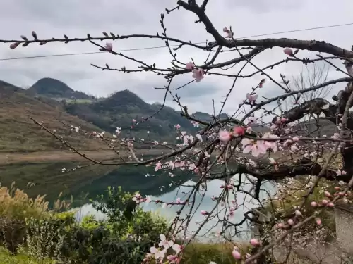 贵阳桃花岛风景区好玩吗　贵阳欢乐世界在哪里-第5张