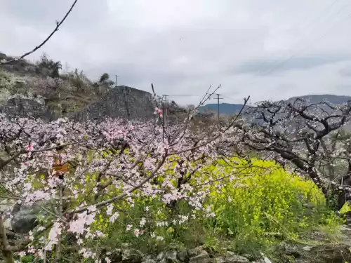 贵阳桃花岛风景区好玩吗　贵阳欢乐世界在哪里-第4张