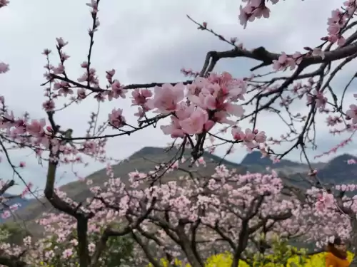贵阳桃花岛风景区好玩吗　贵阳欢乐世界在哪里-第3张