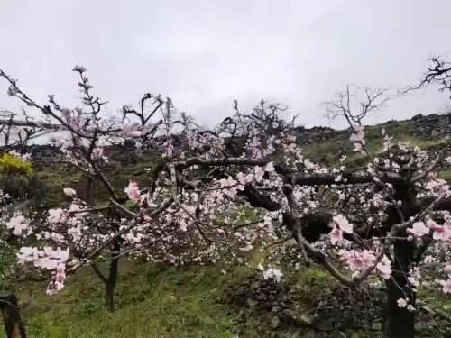贵阳桃花岛风景区好玩吗　贵阳欢乐世界在哪里-第6张
