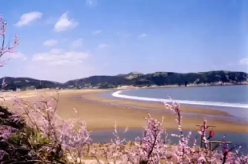 桃花岛旅游攻略有什么景区　桃花岛有哪些景点-第3张