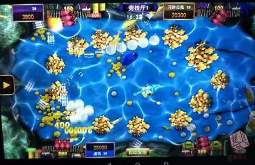 做一款捕鱼app多少钱　网络捕鱼开始赢了几万-第1张