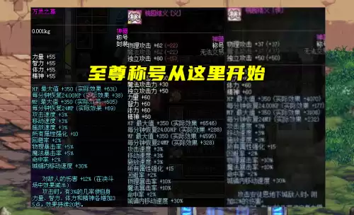 dnf至尊称号都有什么　DNF称号-第1张