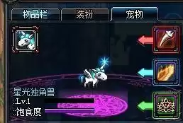 dnf宠物能提升多少输出　dnf希洛克宠物是加算还是乘算-第5张