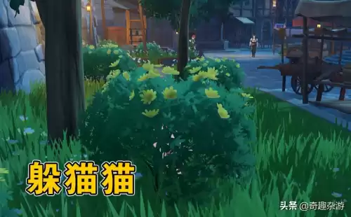 原神联机有什么玩法　原神有联机玩法吗-第2张