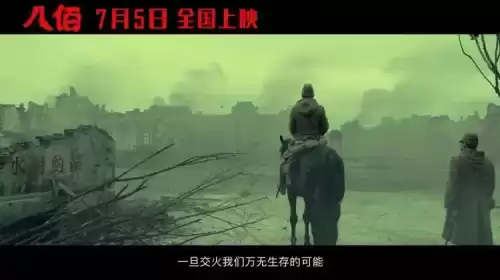 八佰为什么禁止上映　十三部必看抗日电影-第18张