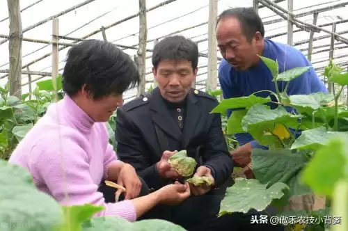 怪物猎人物语1.06逆境因子怎么刷　怪物猎人遗传因子位置-第3张
