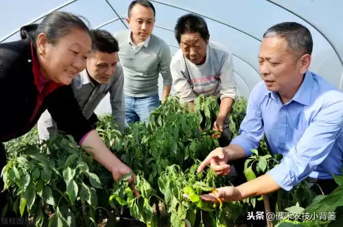 怪物猎人物语1.06逆境因子怎么刷　怪物猎人遗传因子位置-第5张