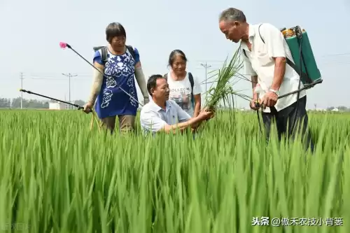 怪物猎人物语1.06逆境因子怎么刷　怪物猎人遗传因子位置-第7张