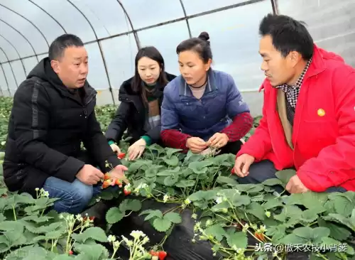 怪物猎人物语1.06逆境因子怎么刷　怪物猎人遗传因子位置-第9张