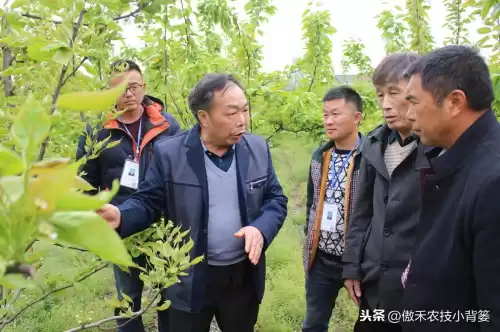 怪物猎人物语1.06逆境因子怎么刷　怪物猎人遗传因子位置-第10张