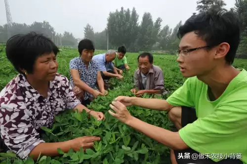 怪物猎人物语1.06逆境因子怎么刷　怪物猎人遗传因子位置-第11张