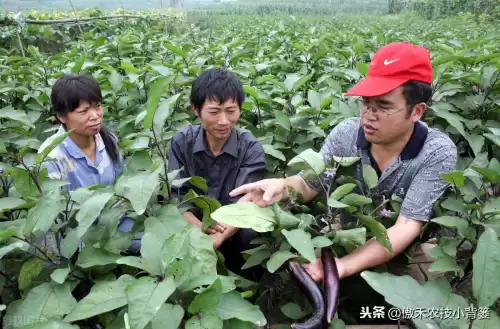 怪物猎人物语1.06逆境因子怎么刷　怪物猎人遗传因子位置-第15张