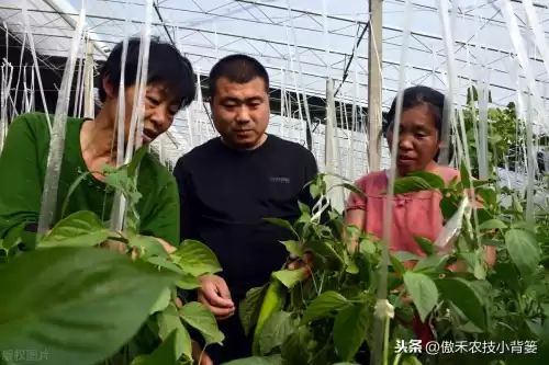 怪物猎人物语1.06逆境因子怎么刷　怪物猎人遗传因子位置-第14张