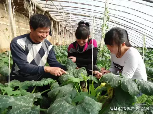 怪物猎人物语1.06逆境因子怎么刷　怪物猎人遗传因子位置-第17张