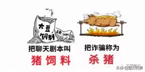 微核app是干什么用的　微核app是什么软件-第5张