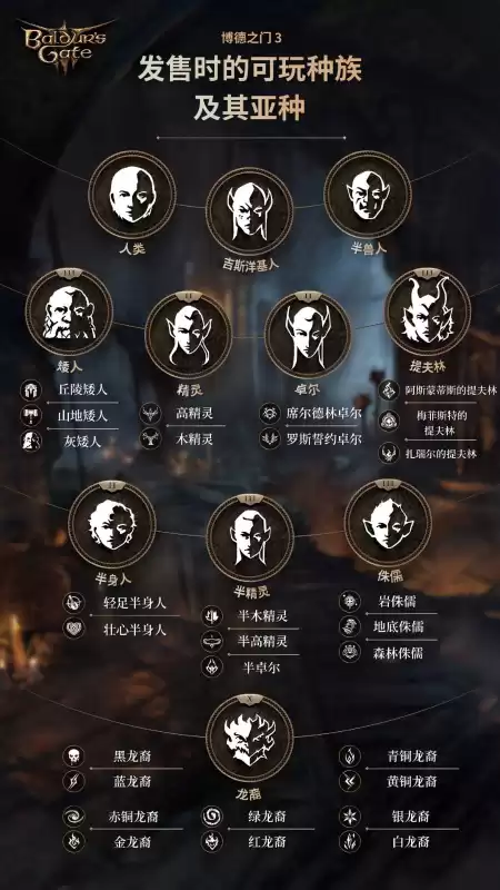蓝龙为什么没有第三季　元龙还有第三季吗-第5张