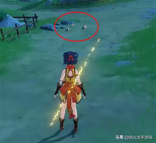 原神金团雀怎么获得　原神团雀图片-第3张