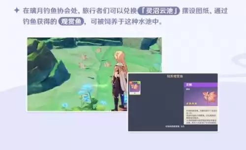 原神钓鱼活动结束还能钓鱼吗　原神钓鱼活动在哪里-第5张