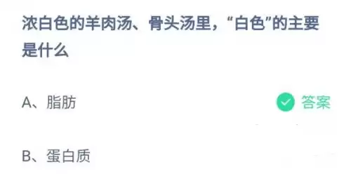 浓白色的骨头汤里白色的是什么　排骨上白色骨是什么-第1张