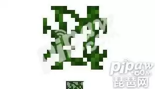 我的世界藤蔓在哪找　我的世界发光藤蔓怎么采集-第1张