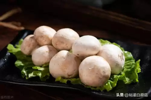我的世界白蘑菇怎么找　我的世界蘑菇生长条件-第2张