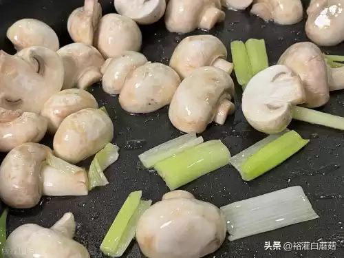 我的世界白蘑菇怎么找　我的世界蘑菇生长条件-第3张