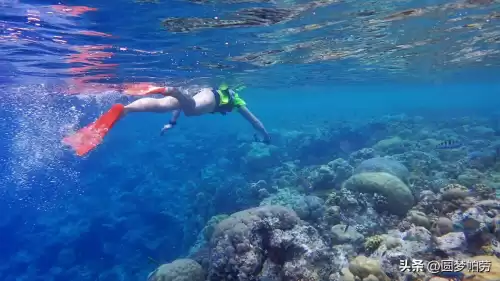 洛克王国海下探险在哪　洛克王国探险者的3个东西在哪教程-第3张
