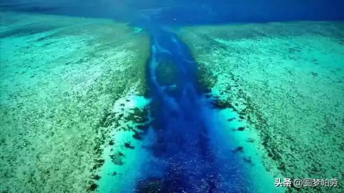 洛克王国海下探险在哪　洛克王国探险者的3个东西在哪教程-第12张
