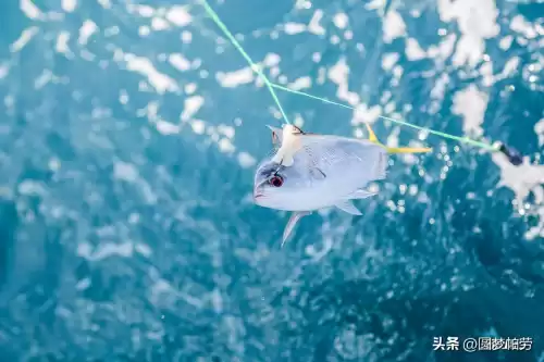 洛克王国海下探险在哪　洛克王国探险者的3个东西在哪教程-第16张