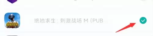 pubg国际服加速器哪个好　pubg免费的加速软件推荐-第6张