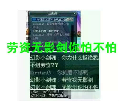dnf无影剑植物人　无影剑唤醒植物人视频-第2张