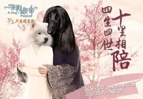 三生三世十里桃花 贴吧　三生三世十里桃花有多火-第15张