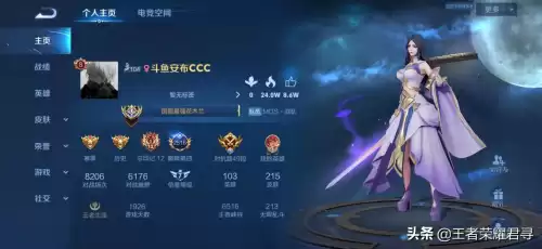 10个职业玩家是什么局　王者荣耀有多少职业选手-第6张