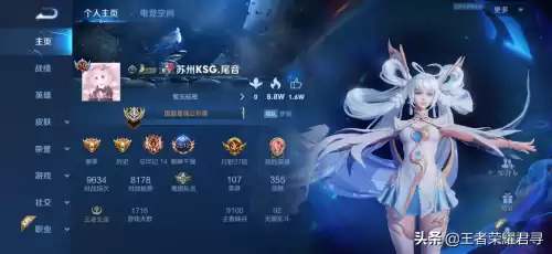 10个职业玩家是什么局　王者荣耀有多少职业选手-第7张