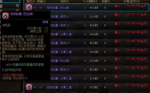 dnf奥兰奶奶商店的宠物　地下城奥兰奶奶宠物-第8张