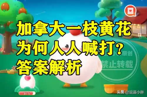拔罐后留下的印子越大效果越好吗　拔罐的印子三个月了还没消怎么回事-第4张