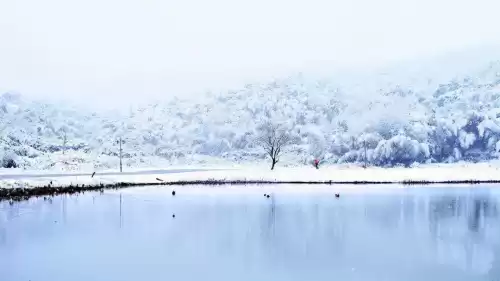 前尘一梦是什么意思　红尘一梦是什么意思-第1张