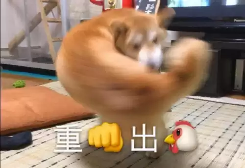 小小军团合战三国停服了吗　小小军团合战三国游戏-第19张
