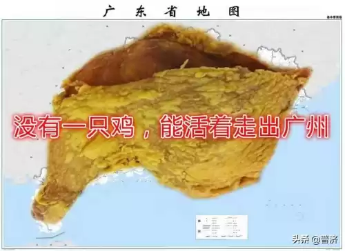 自家养的鸡为什么吃鸡　养什么品种的鸡最好吃-第1张