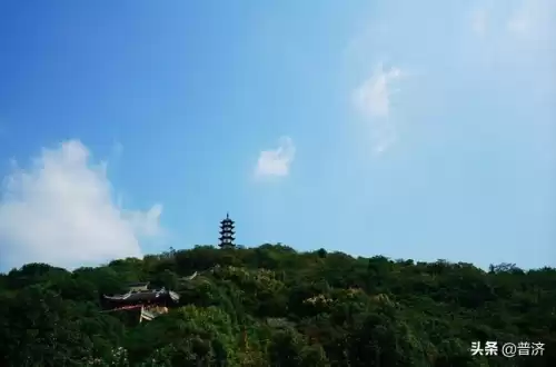 自家养的鸡为什么吃鸡　养什么品种的鸡最好吃-第5张