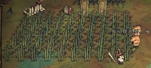 饥荒海难虎鲨巢怎么开启　海难虎鲨巢-第95张