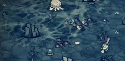饥荒海难虎鲨巢怎么开启　海难虎鲨巢-第126张