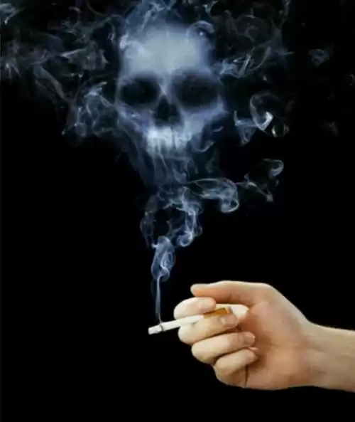 细支蓝龙烟多少钱一包　100元的真龙海韵-第3张