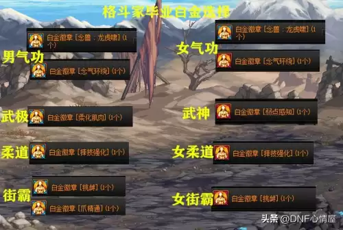 dnf狂战士梦想白金徽章　狂战士梦想白金徽章-第4张