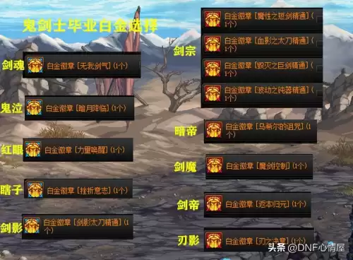 dnf狂战士梦想白金徽章　狂战士梦想白金徽章-第3张