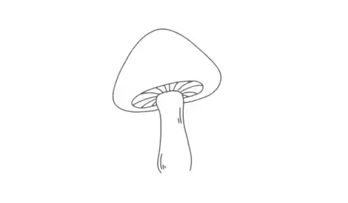 我的世界蘑菇怎么画　我的世界动物简笔画-第3张