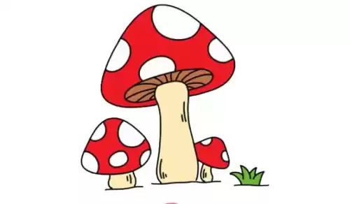 我的世界蘑菇怎么画　我的世界动物简笔画-第7张