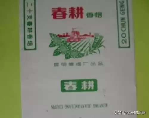 蓝龙烟盒是什么样子　真龙香烟蓝色-第66张